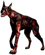 Cerberus (zombi kutya)