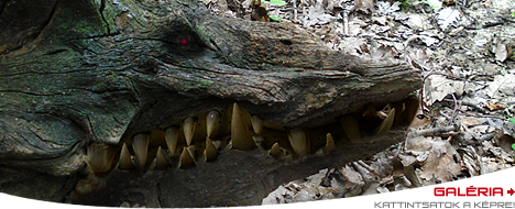 M&aacute;sodik visegr&aacute;di s&aacute;traz&aacute;s