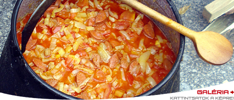 Feh&eacute;rv&aacute;ri Vigass&aacute;gok - Lecs&oacute;fesztiv&aacute;l 2010