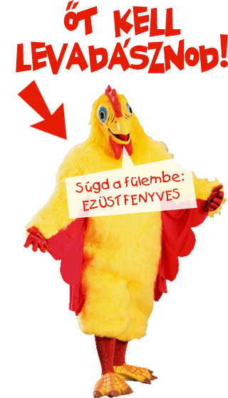 Légy Te a budapesti csirkefogó!